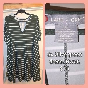 Lark & Grey Olive Striped Mini Dress